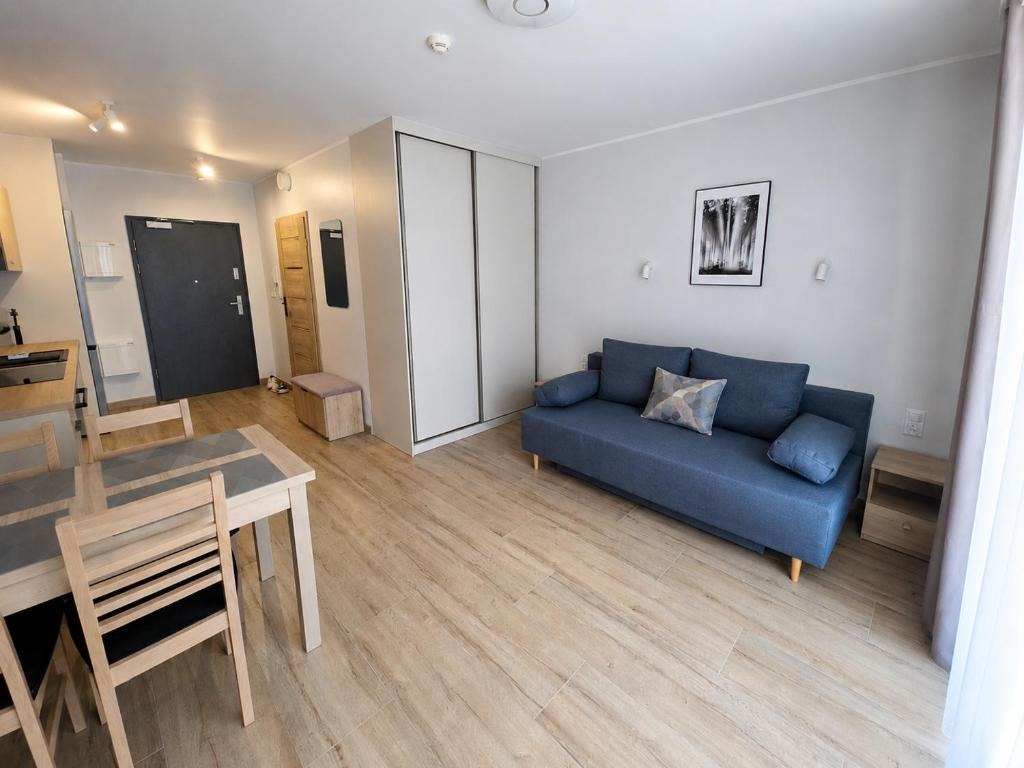 Pokój z rozkładaną sofą — Sunflower Apartment Portovo